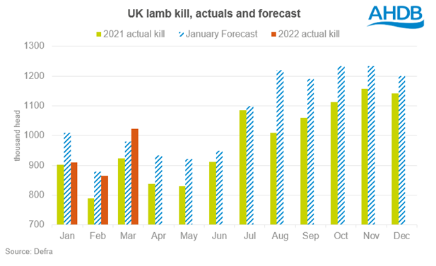 Chart showing actual and expected UK lamb slaughter